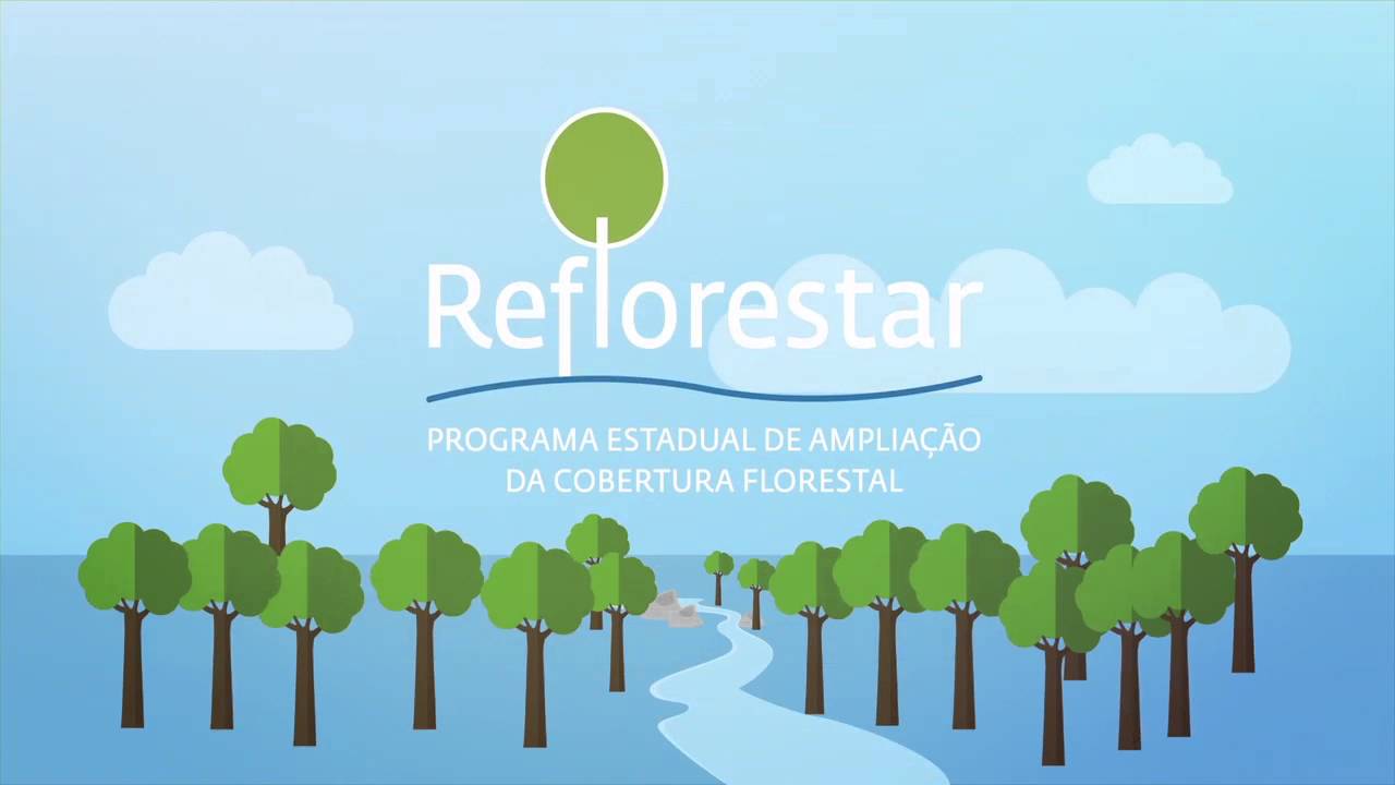 PROGRAMA REFLORESTAR