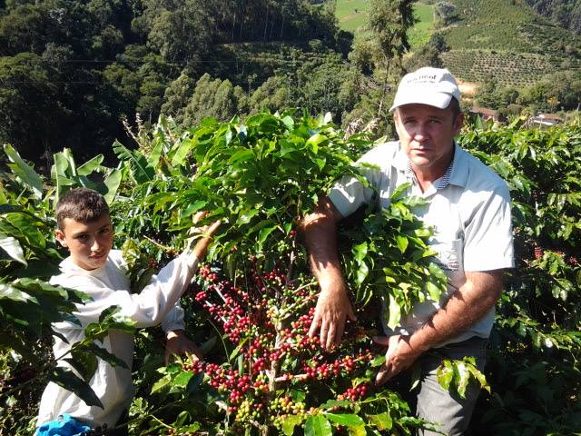 SMAMA realiza visita técnica a lavoura de café arábica do produtor conceiçoense Jésus Dalbem