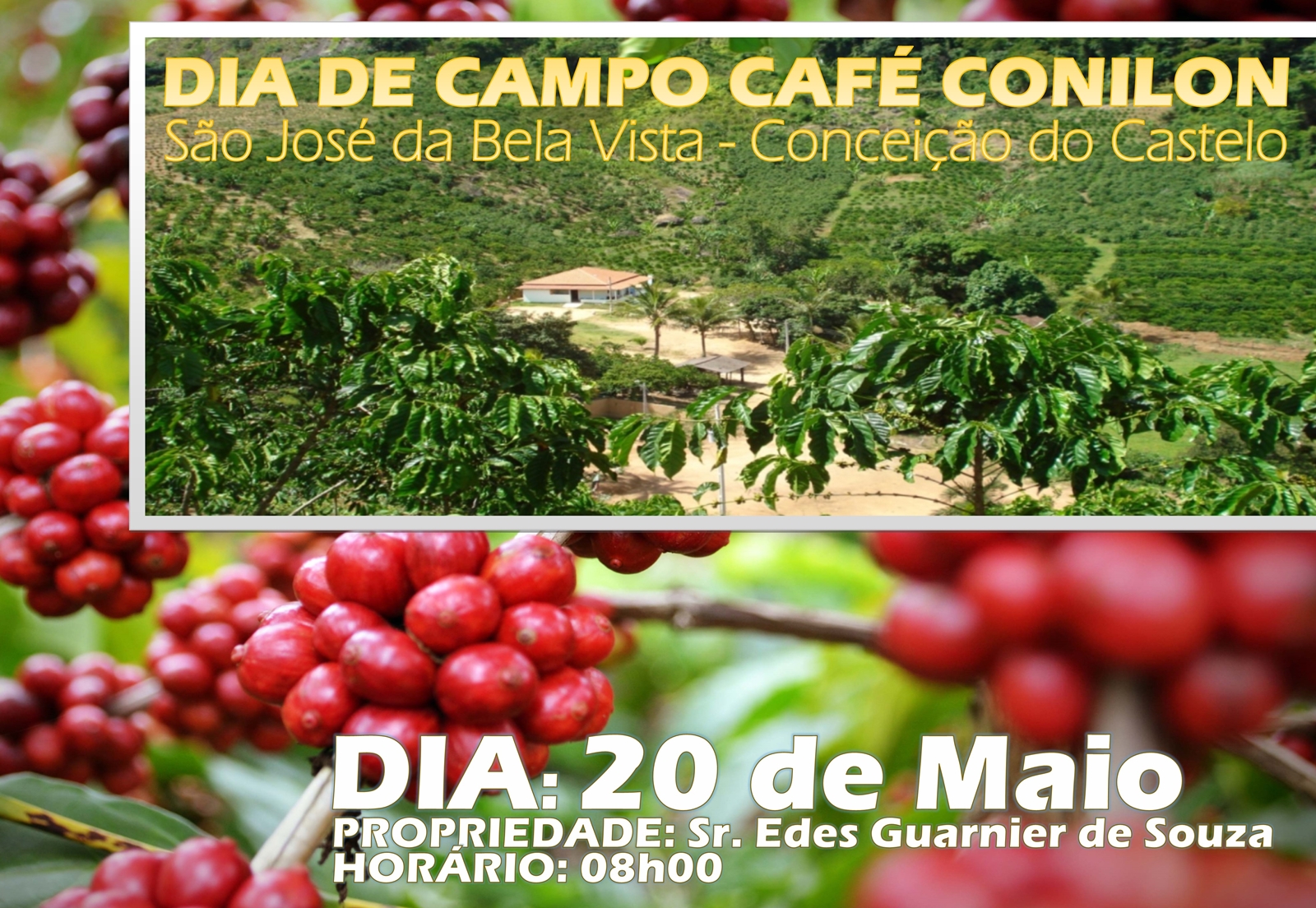 Incaper promove 11º Dia de Campo do Café Conilon em São José da Bela Vista no dia 20 de maio