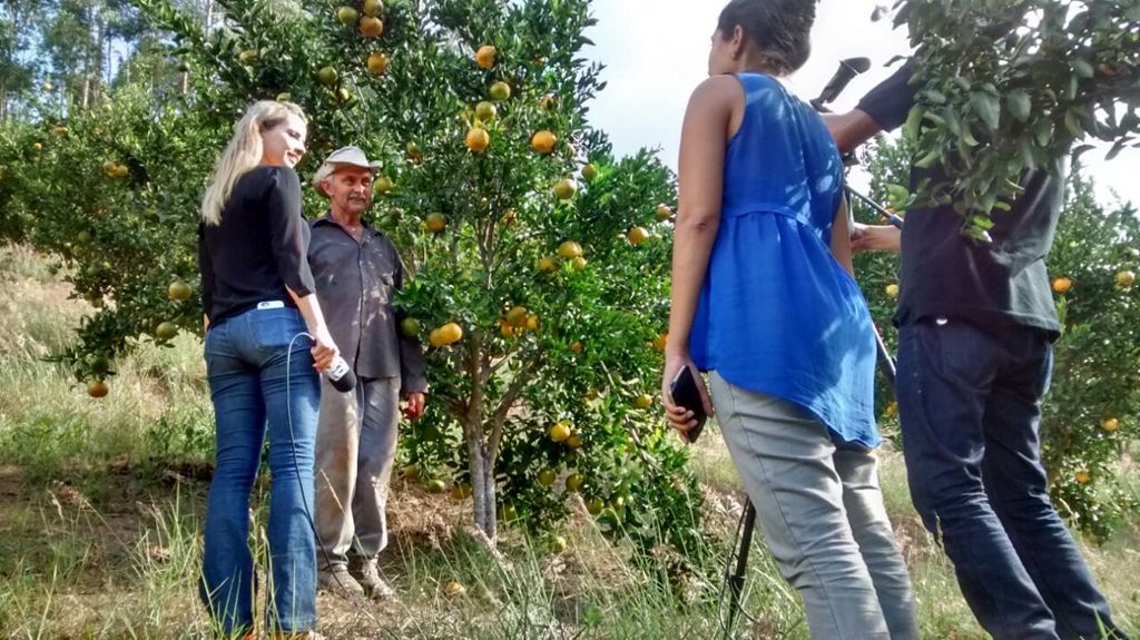 Comunidade de Santa Luzia recebe reportagem especial da TVE sobre o pólo de tangerina Ponkan no ES