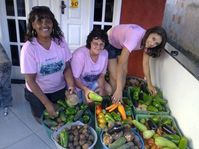 AMUCC realiza 1ª campanha de arrecadação e doação de verduras e legumes no município