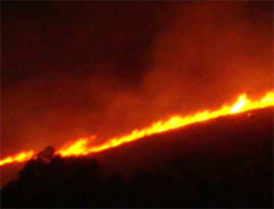 Floresta é destruída após incêndio na propriedade rural em Conceição do Castelo