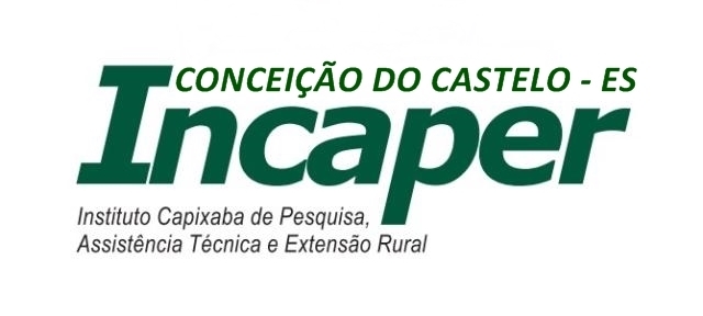 Incaper apresenta resultados de pesquisas sobre os preços dos produtos nos supermercados de Conceição do Castelo