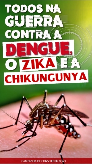Alerta Conceição! Mais casos de dengue, zika e chikungunya ameaçam a região sul do ES